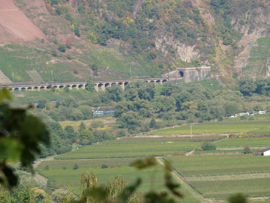 B&B Briedel Εξωτερικό φωτογραφία